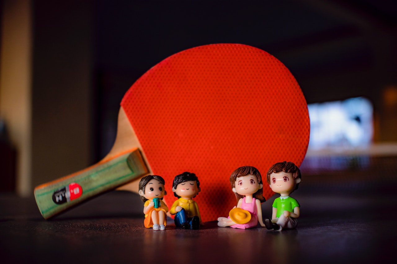 Factors to Consider when selecting Ping Pong Paddle